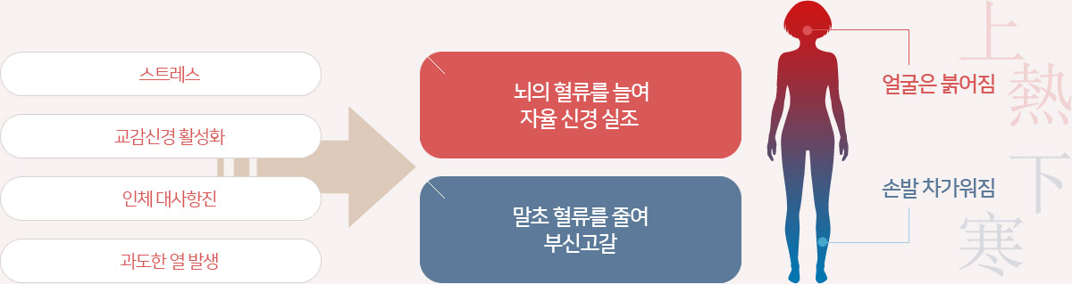 ��Ʈ����,�����Ű� Ȱ��ȭ, ��ü �������, ������ �� �߻��� ���� ������ �ÿ� ���� �Ű� ������ ���� ������ �ٿ� �νŰ����� �ʷ��� ���� �Ӿ����� �չ��� ���������ϴ�