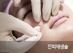 ÁøÇÇÀç»ý¼ú